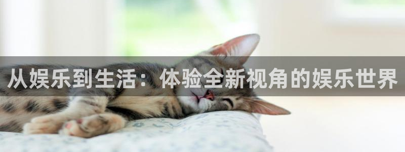 万事娱乐登录