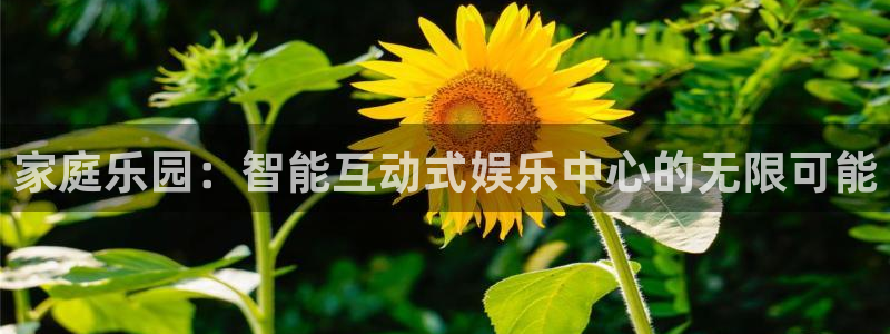 万事娱乐